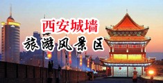 大鸡巴操穴视频免费看中国陕西-西安城墙旅游风景区